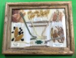 Navajo&#;DyeChart(Färbepflanzen)